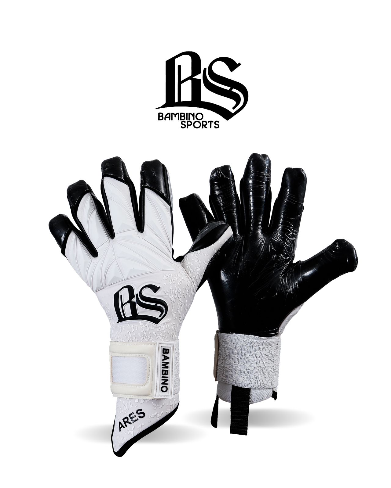 BS-ARES04